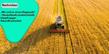 Deutschlands Landwirtschaft kämpft gegen Rekordtrockenheit